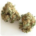 Шишки "White Widow"  (Белая вдова)  Гидропоника -  Бошка VHQ в Мурино