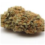 Шишки AK47 (Гидропоника, Бошка) VHQ в Мурино Шишки AK47 (Гидропоника, Бошка) VHQ в Мурино